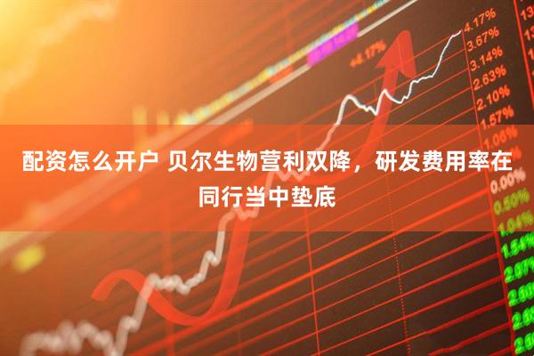 配资怎么开户 贝尔生物营利双降，研发费用率在同行当中垫底