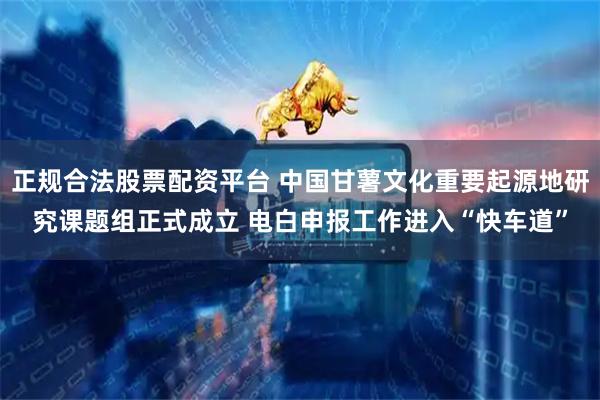 正规合法股票配资平台 中国甘薯文化重要起源地研究课题组正式成立 电白申报工作进入“快车道”